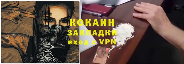кокс Алексин