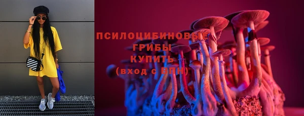 молекула духа Алексеевка