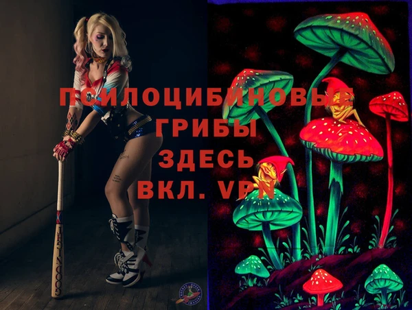 кокс Алексин