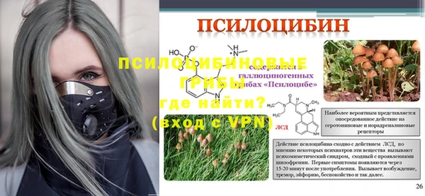 молекула духа Алексеевка